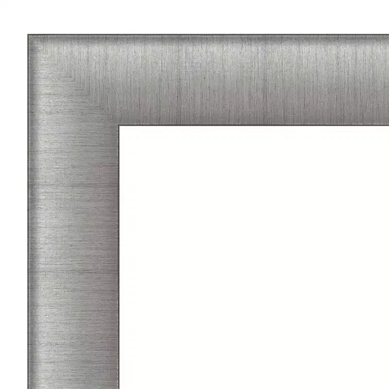 19" x 53" Non-Beveled Elegant Brushed Pewter Full Length on The Door Mirror - Amanti Art