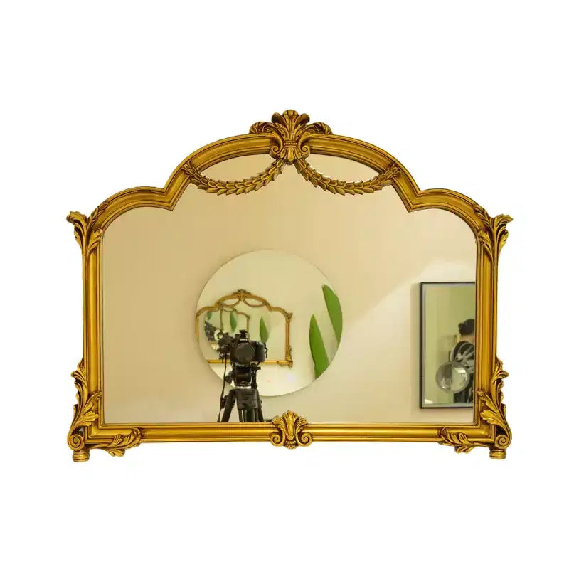 GDFStudio Veda Baroque Revival Style Irregular Faux Leather Decorative Wall Mirror with 3-Color Adjustable Light