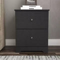 Galano Modern 2-Drawer Nightstand 18.7 W  15.7 D  23.7 H