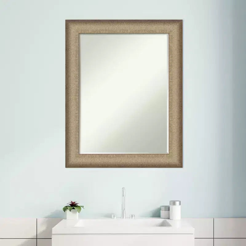 Amanti Art Elegant Brushed Petite Bevel Bathroom Wall Mirror